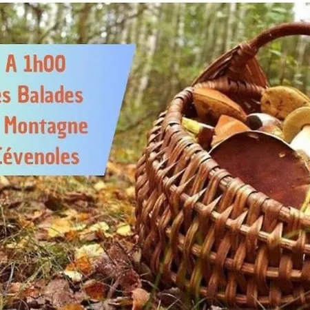 La Dolce - Bali&les Cévennes * Alès